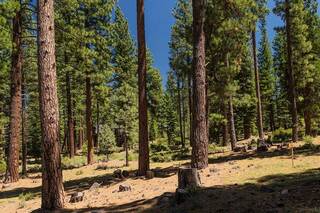 Listing Image 8 for 11330 Elle Ellen, Truckee, CA 96161