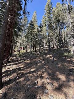 Listing Image 7 for 12442 Richards Boulevard, Truckee, CA 96161-5020