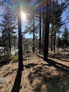 Listing Image 8 for 12442 Richards Boulevard, Truckee, CA 96161-5020