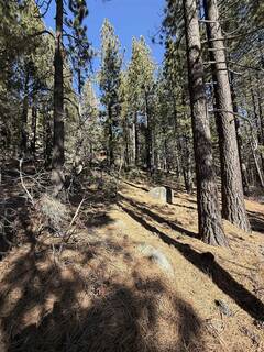 Listing Image 9 for 12442 Richards Boulevard, Truckee, CA 96161-5020