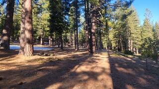 Listing Image 3 for 11630 Bottcher Loop, Truckee, CA 96161