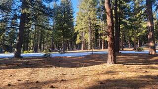 Listing Image 4 for 11630 Bottcher Loop, Truckee, CA 96161